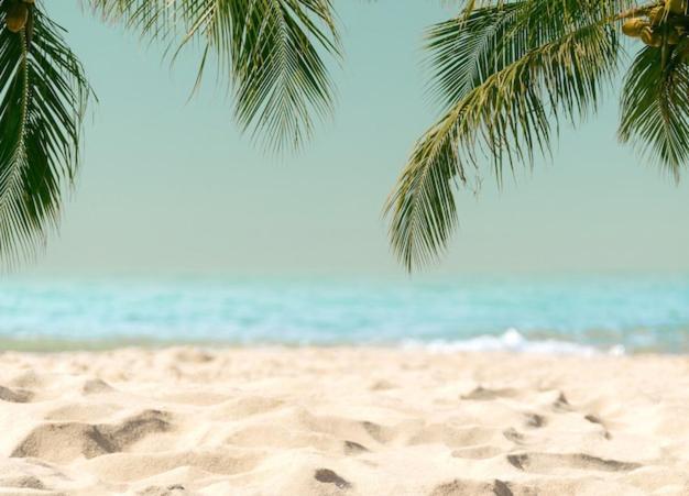 Amazing Beach Apartment 쿠엘라 외부 사진